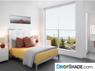 Interior Dropshade Images