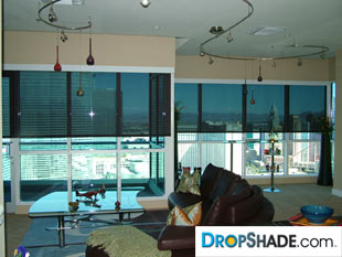 Interior Dropshade Images