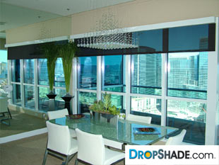 Interior Dropshade Images