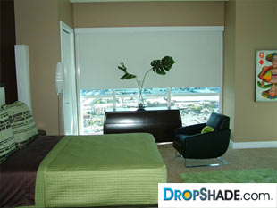 Interior Dropshade Images