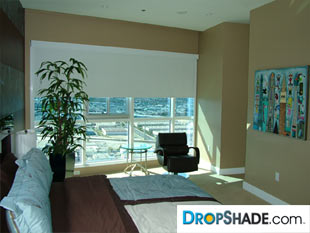 Interior Dropshade Images