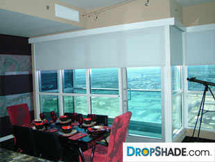 Interior Dropshade Images