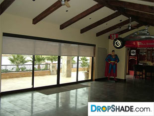 Interior Dropshade Images