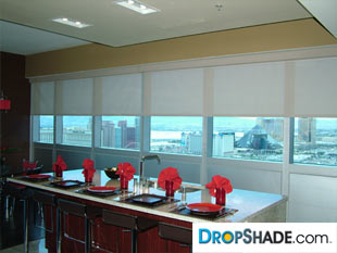 Interior Dropshade Images