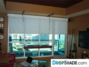 Interior Dropshade Images