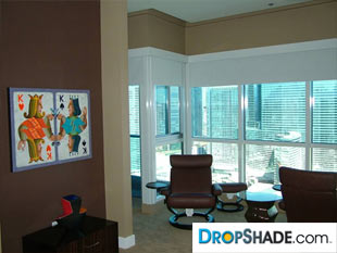 Interior Dropshade Images