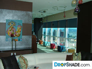 Interior Dropshade Images