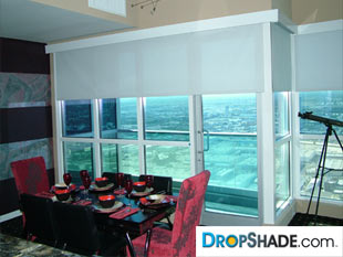 Interior Dropshade Images