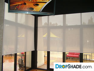 Interior Dropshade Images