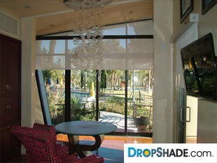 Interior Dropshade Images