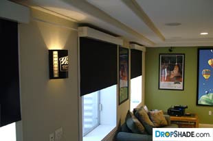 Interior Dropshade Images