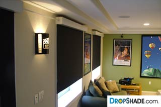 Interior Dropshade Images