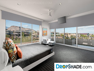 Interior Dropshade Images