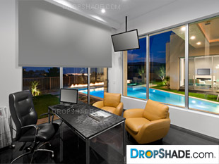 Interior Dropshade Images