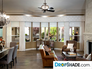 Interior Dropshade Images