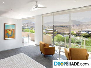 Interior Dropshade Images