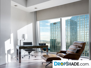 Interior Dropshade Images