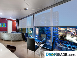 Interior Dropshade Images