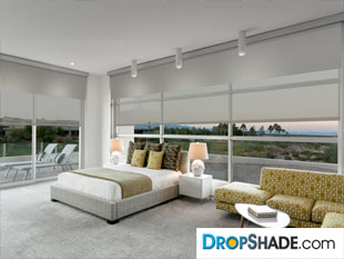 Interior Dropshade Images