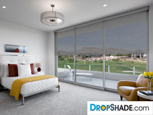 Interior Dropshade Images