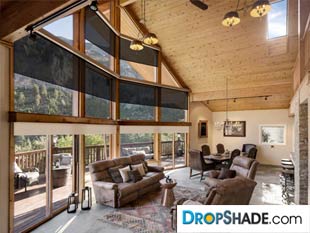 Interior Dropshade Images