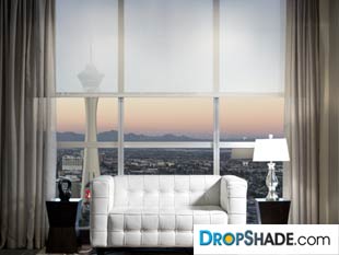 Interior Dropshade Images