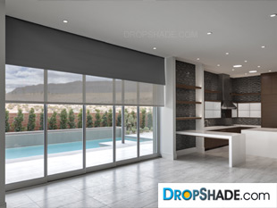 Interior Dropshade Images